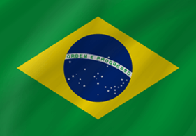 Brazil Flag