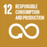 SDG12