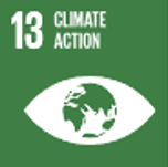 SDG13