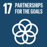 SDG17