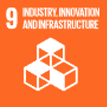 SDG9